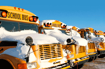 Snow-covered school busses parked in a row mobile view