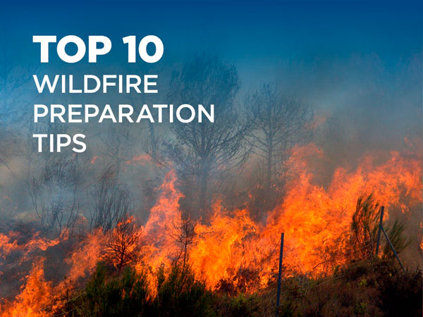 Top 10 Wildfire Preparation Tips Emc Insurance Companies